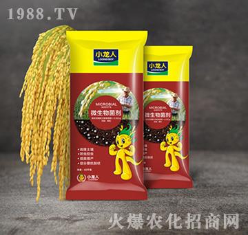 水稻殺蟲藥肥（底肥）-微生物菌劑-小龍人