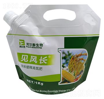 Һ�w��ጸߵ���-Ҋ(ji��n)�L(f��ng)�L(zh��ng)