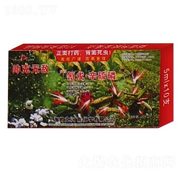 50%���졤������-����-��Gֲ��