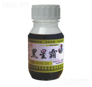 ���ǰ�-��Gֲ��