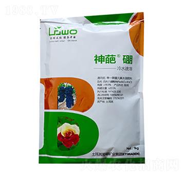 ���⡤��-��������