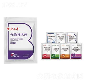 ���＼�g��-�����S-�����r