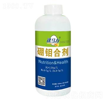 ���f�τ�-���R��-�а����r(n��ng)