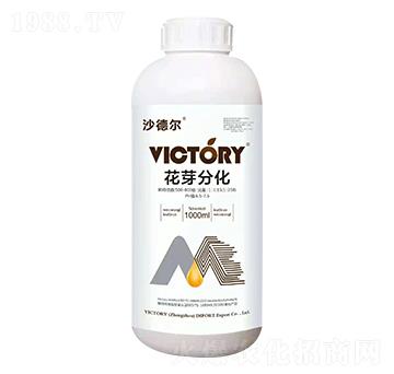 花芽分化-沙德?tīng)?維柯托瑞