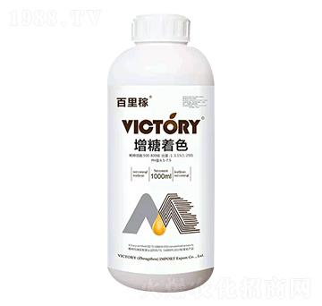 ������ɫ-�����-�S������