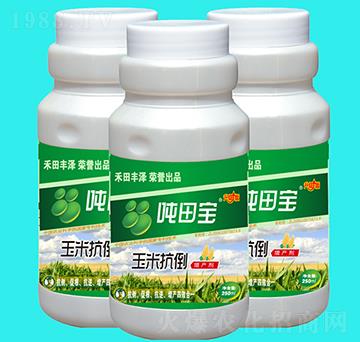 ���׿������a(ch��n)��-���-�����S��