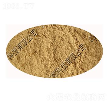 ��(x��)�S�Bù��-�������