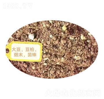 �󶹡���������ĩ��������-�Z�M�}