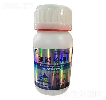 �������0-525-375-���_(d��)