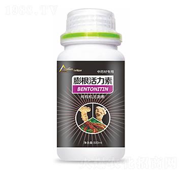 ��ˎ�Č������������-�����Ƽ�