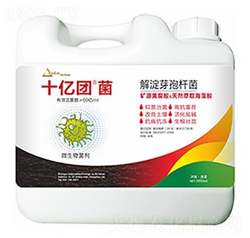 ���ѿ�ߗU��-ʮ�|�F��-��ԣ�Ƽ�