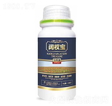 �辌�-�����Ƽ�