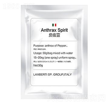 ̿���`-�����Ƽ�