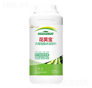 �󶹻�Ӣ��-�����Ƽ�