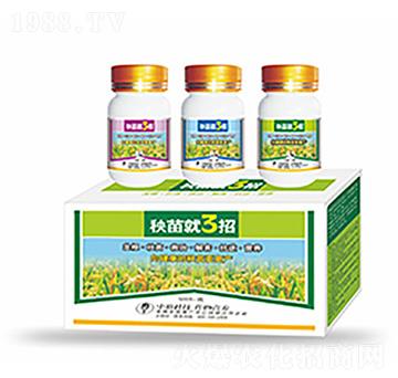 �����3��-�����Ƽ�