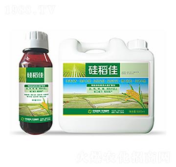 �赾��-�����Ƽ�