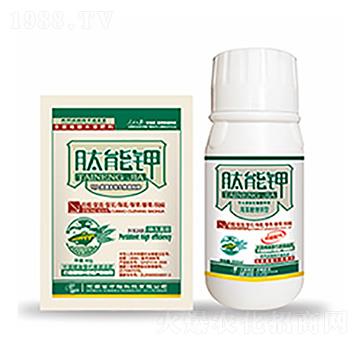 �����-�����Ƽ�