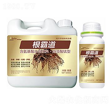 ���Ե�-��ԣ�Ƽ�