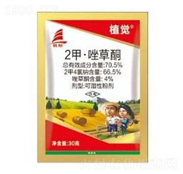 70.5%2�ס����ͪ