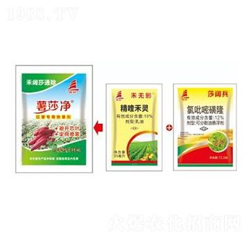 �t�����s�ݽ�Q����-��