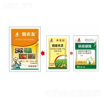 ���~�����������������t