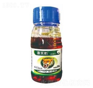 20%���@�-���챪-