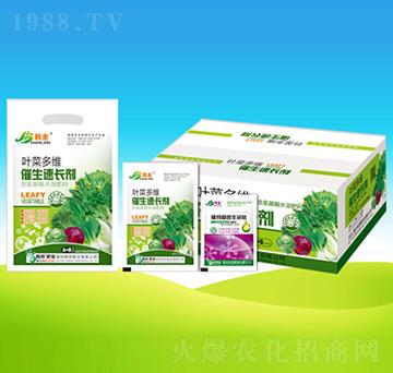 �~�˶�S�������L��-�n��ʘI(y��)