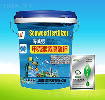 �ך����S����⛽M��-�n��ʘI(y��)