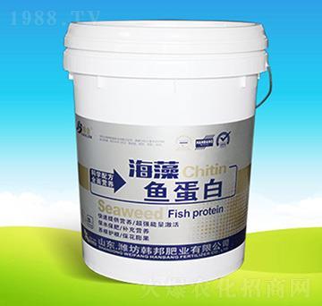 �����~(y��)����-�n��ʘI(y��)