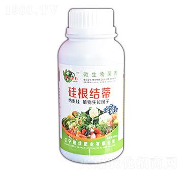 ����Y(ji��)��-ʩ�ѷʘI(y��)