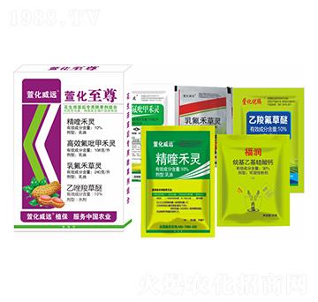 ���������(zhu��n)�ó��݄��M��-�滯����-�滯���h(yu��n)