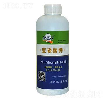 �������-���R��-�а����r(n��ng)