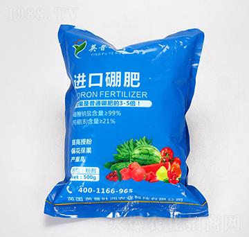 �M(j��n)�����-Ӣ���~��