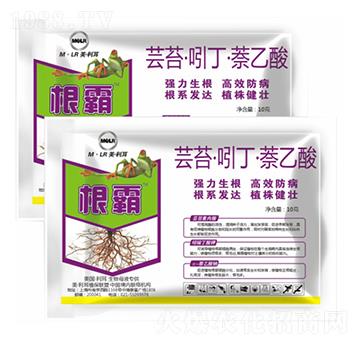 �|̦���Ŷ���������-����-�滯���h