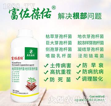 ��������-��������