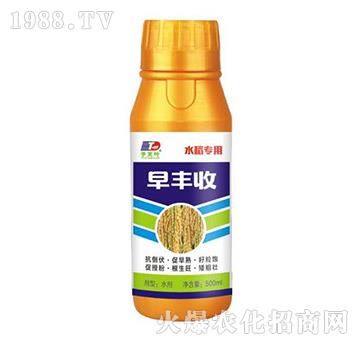 ˮ���������S��-���~����