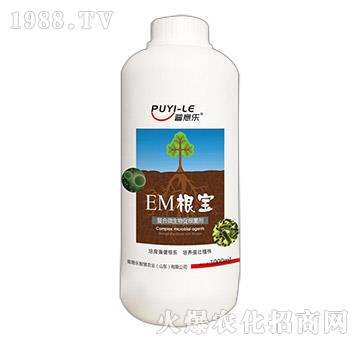 ��(f��)��΢����ٸ�����-EM����-���ט�