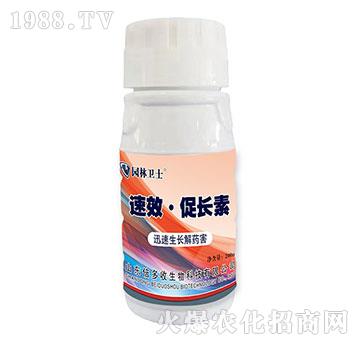 ��Ч�����L(zh��ng)��-�@���l(w��i)ʿ-������