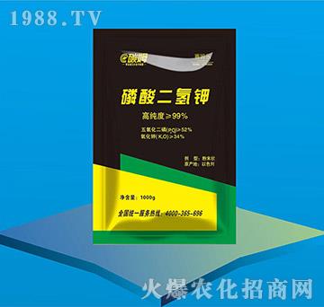 �������⛣�1000g��-̼ķ-ِķ��