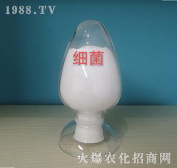 ��������ԭ��-���o���r�I(y��)