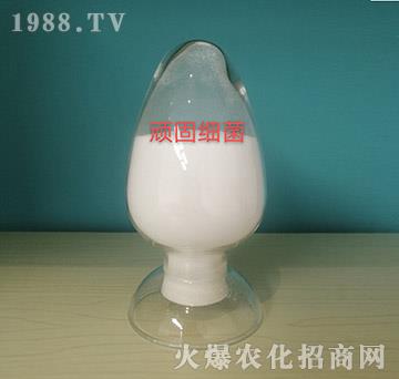 �B�̼�������ԭ��-���o���r�I(y��)