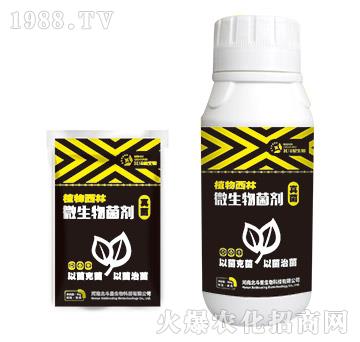 �������΢�������-ֲ������-������