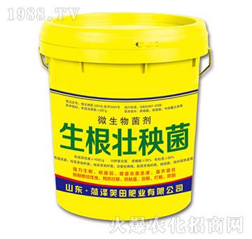 ����������-Ц��