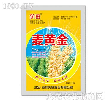 ���S��-Ц��