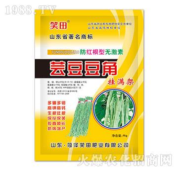 �|�����ǒ�M��-Ц��