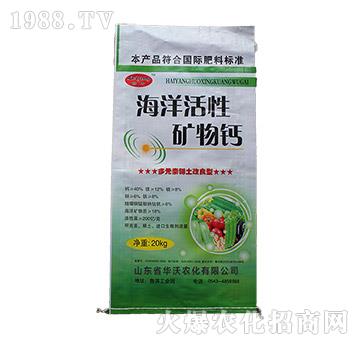 ������ԵV���}-�G�S-�A���r(n��ng)��