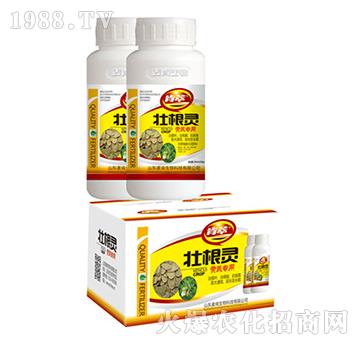 �Ѹ��`�S�Ό�(zhu��n)��-��������