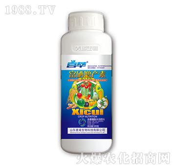 �������a(ch��n)��-��������