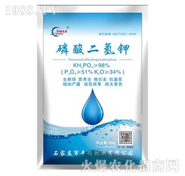 ��������-�S�T�ʘI(y��)