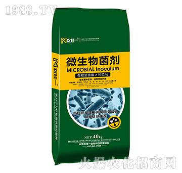 ΢�������-�r(n��ng)��һ